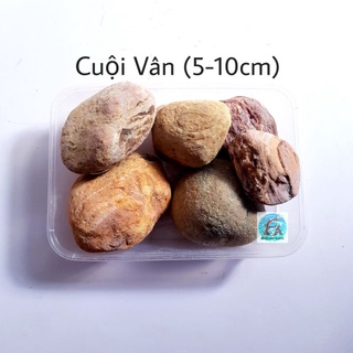 [Mã PET20K giảm 20K đơn 250K] 500G CÁT SUỐI, SẠN SUỐI, CUỘI VÂN