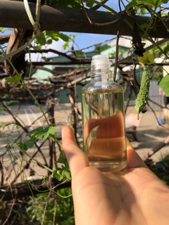 Tinh dầu tràm gió cao cấp cho bé 100ml