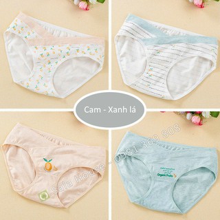 Combo/ set 4 Quần Lót Bầu Cotton cao cấp (H)