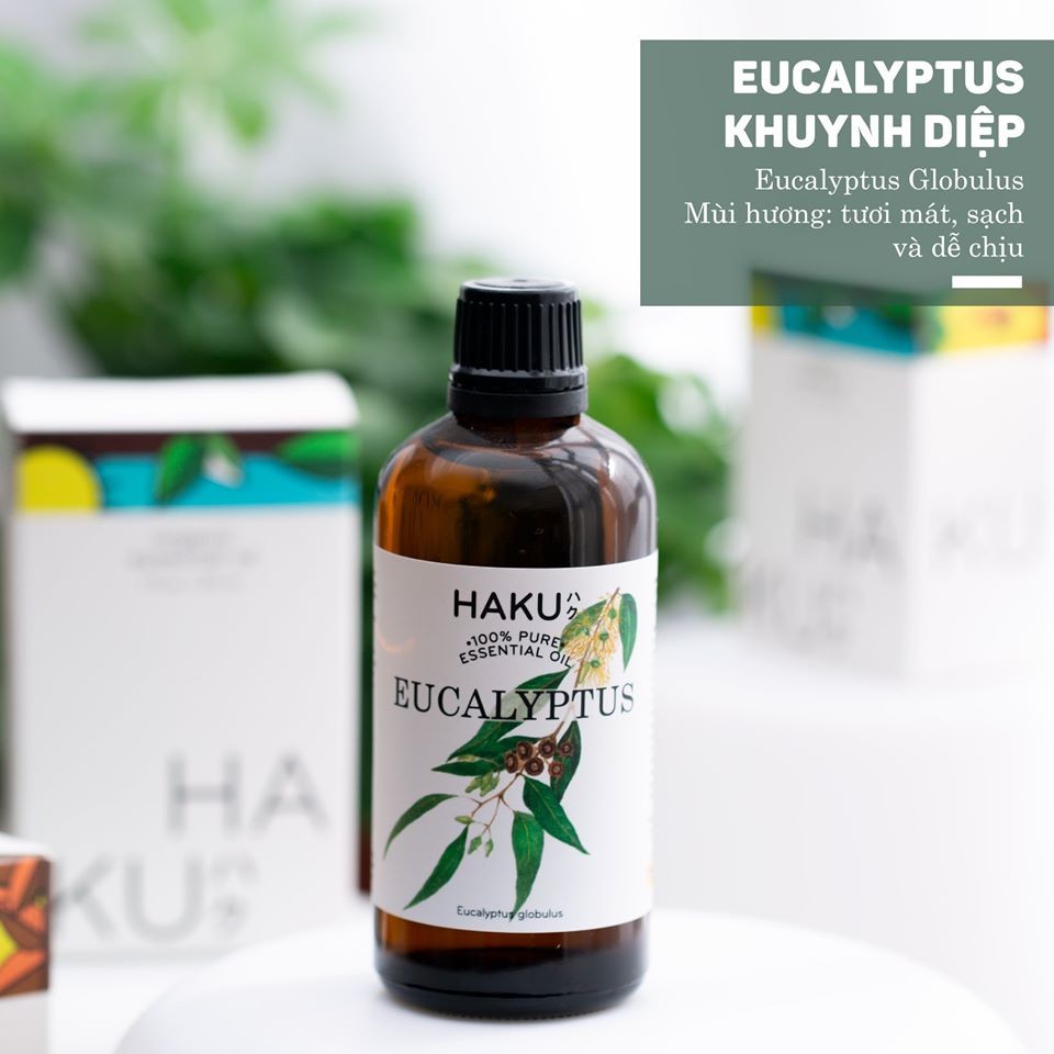 Tinh dầu khuynh diệp Eucalyptus