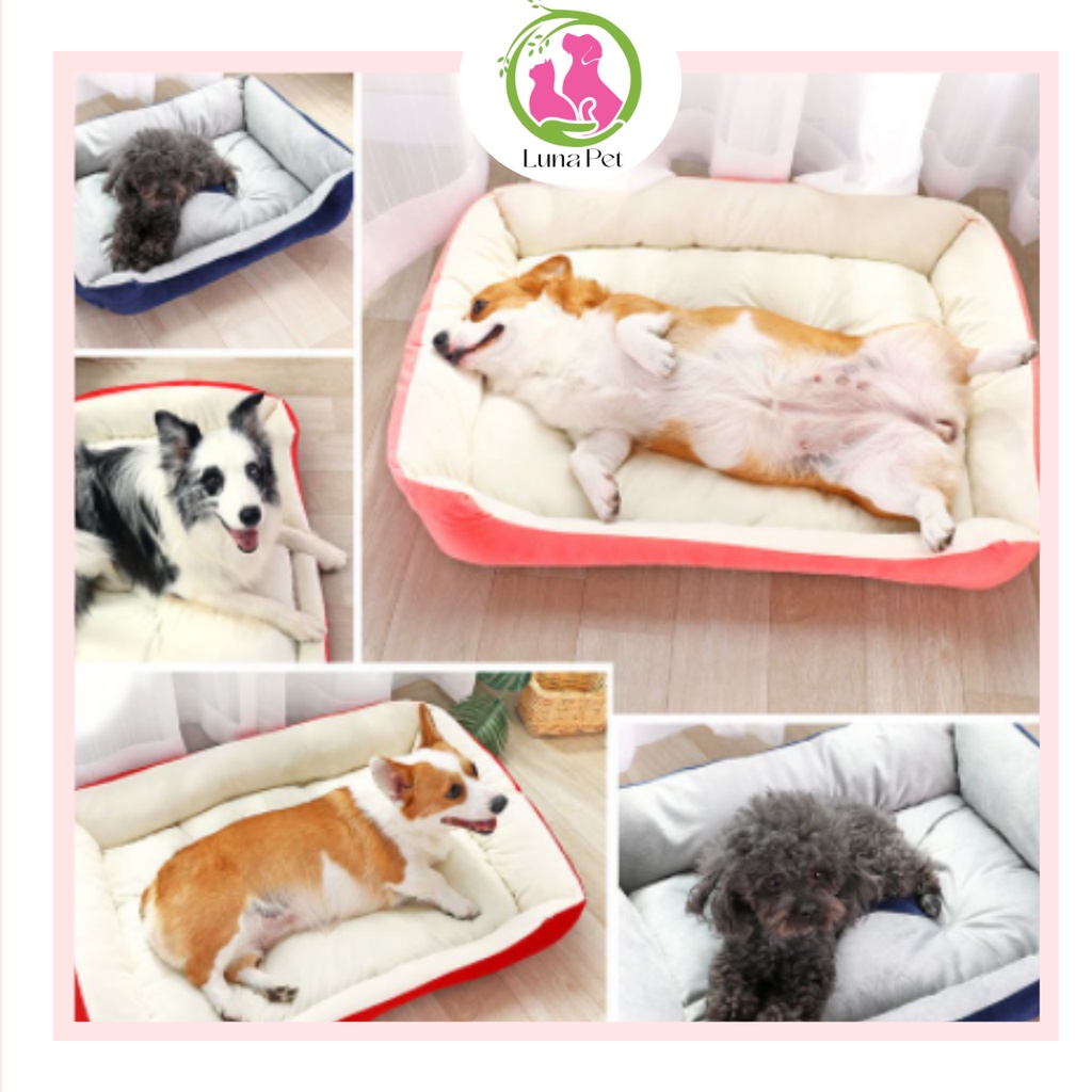 Nệm ngủ cho thú cưng - Ổ ngủ hình chữ nhật mềm mại cho chó mèo chất lượng tốt dành cho chó mèo đủ kích cỡ