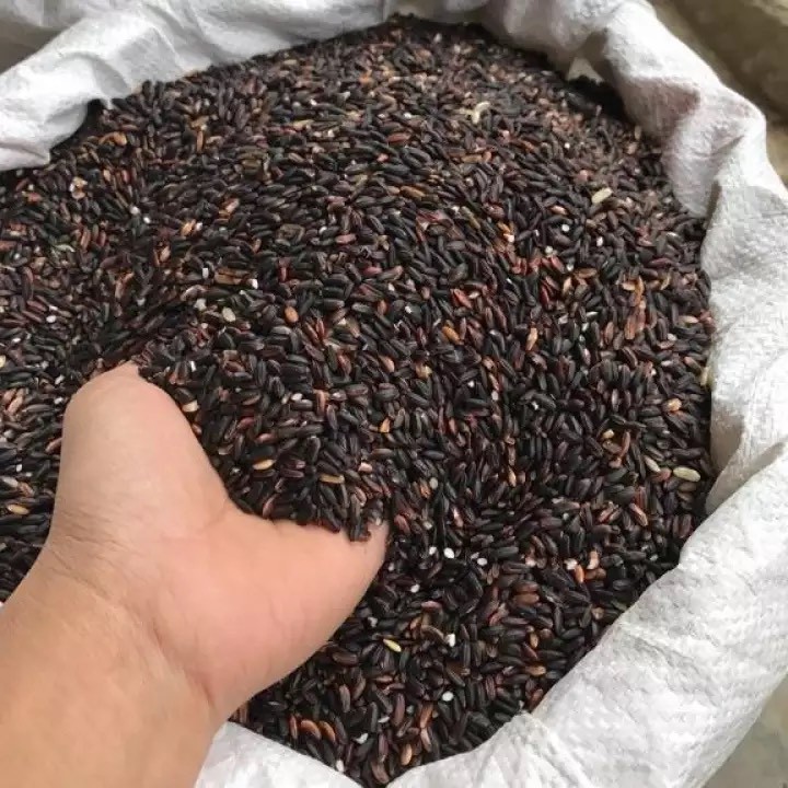 Gạo Nếp Cẩm Điện Biên LinFood