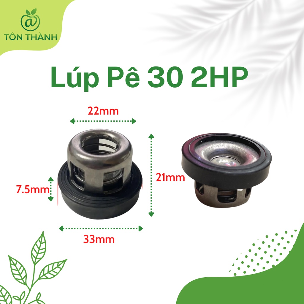 LÚP PÊ  VAN 1 CHIỀU ĐẦU XỊT RỬA XE 0.5HP 1HP 2HP