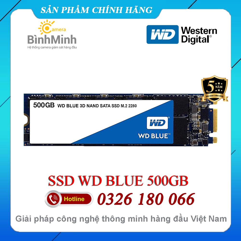 Ổ Cứng SSD 500GB 1TB 2TB WD Blue M2 SATA 2280 (WDS500G2B0B) Bảo Hành 5 Năm