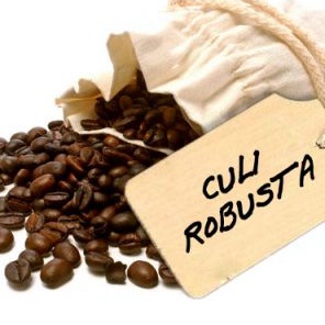 Cà phê Culi - Robusta 100% nguyên chất Buôn Ma Thuột Đăk Lăk