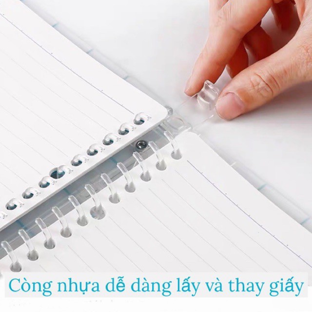 Sổ gáy còng Campus B5 Line field, Vở gáy còng Campus, sổ bìa nhựa Campus - Soleil Home