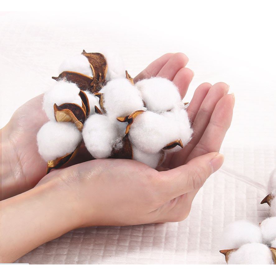 Tả Lót Chuồng Cho Thú Cưng. Tả Lót Siêu Thấm Hút Cho Chó Mèo