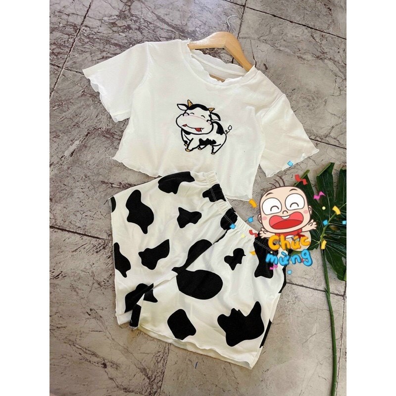 Sét bộ áo croptop cuốn viền in hình chú bò phối quần đùi bò sữa cực xinh , chất coton mềm mịn