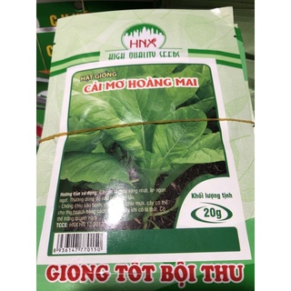 Hạt giống Cải mơ Hoàng Mai 🍀