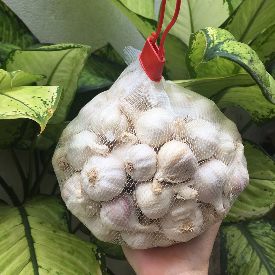 1KG🔥 TỎI LÝ SƠN NHIỀU TÉP LOẠI 1 🔥THƠM NGON CHÍNH GỐC🔥 ĐẶC SẢN QUẢNG NGÃI