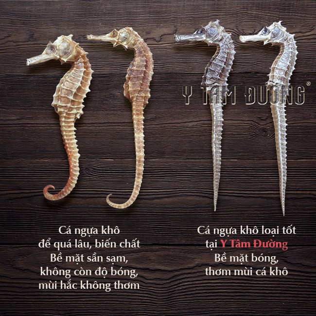 Cá ngựa khô 1cặp dài 11cm