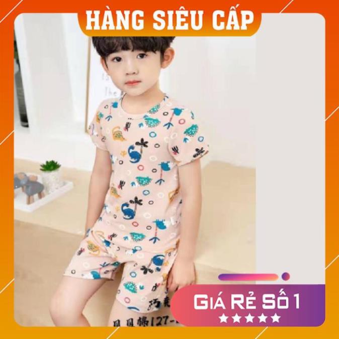 Bộ cotton mùa hè thấm hút mồ hôi họa tiết xuất hàn cao cấp cho bé từ 8 đến 16 kg