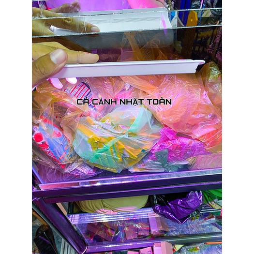 ĐÈN LED KẸP 2 BÊN BỂ CÁ 3 CHẾ ĐỘ MÀU CEBO COCO