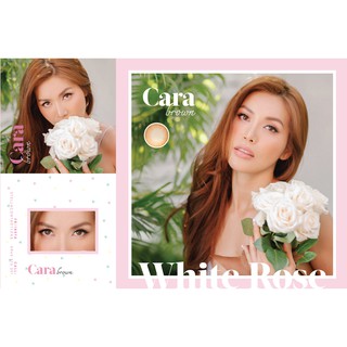 Kính áp tròng - Cara Gray
