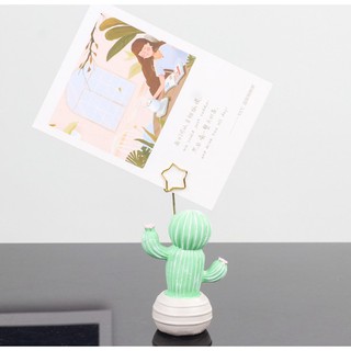 Chậu kẹp note, chậu kẹp ảnh xương rồng nhí