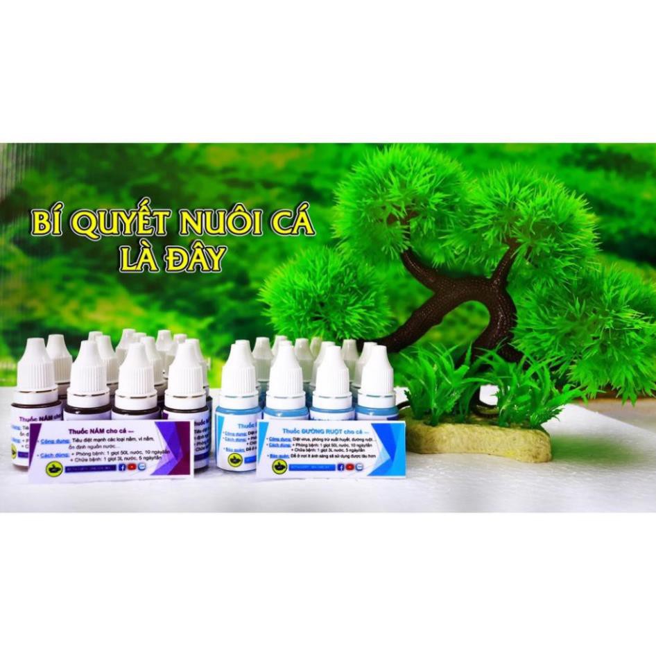 Cám Beco 1 - Thức ăn cá con 🐣 Gói nhỏ