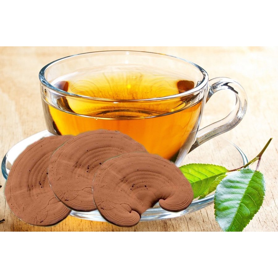 Nấm Linh Chi Hộp Quà Cao Cấp Hàn Quốc, Nấm Vàng Chanh Loại 1 | BigBuy360 - bigbuy360.vn