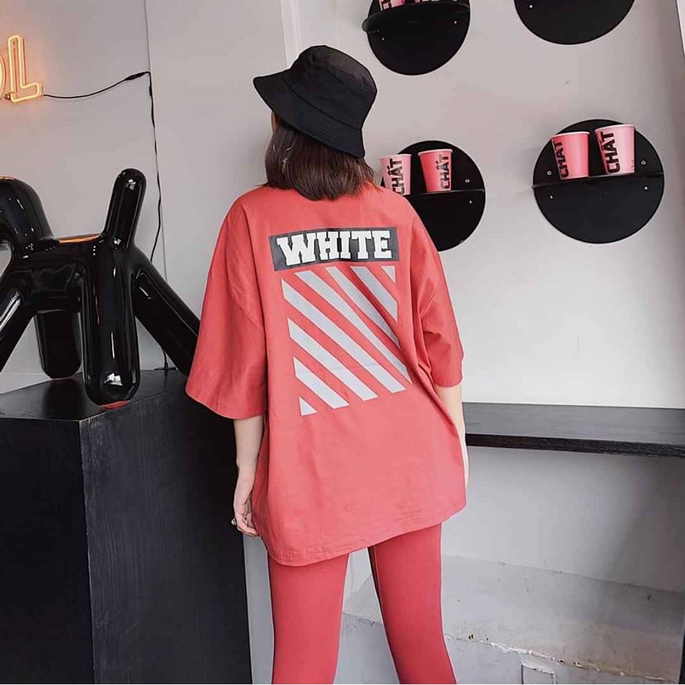 Đồ Bộ Thể Thao Cao Cấp, Thun Cotton 100%, 45kg đến 80kg vừa, P017 | BigBuy360 - bigbuy360.vn