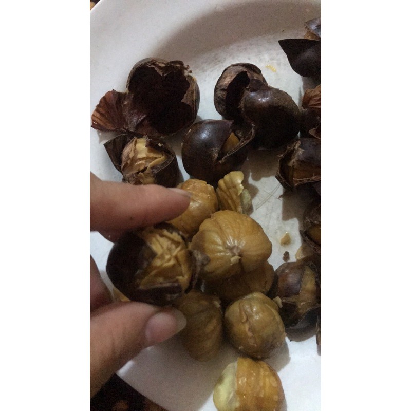 🌰hạt dẻ chưa khứa vỏ:1kg/76k