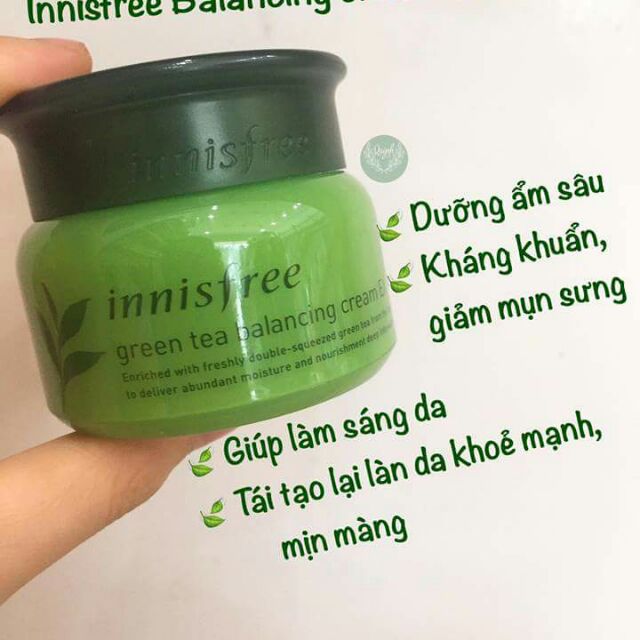 Kem dưỡng da trà xanh Innisfree