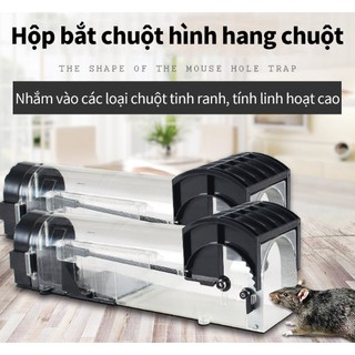 HỘP BẨY CHUỘT THÔNG MINH