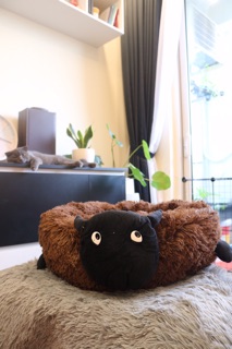 Nệm cho chó mèo hình cừu con (big size)