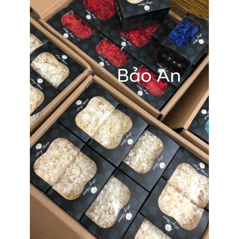Hoa tú cầu khô
