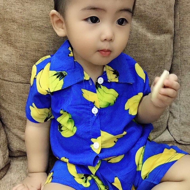 Combo 55b lanh hoa quả
