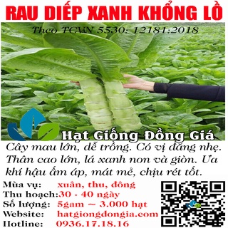 5Gram ~ 3000 Hạt Giống Rau Diếp Nếp Thơm Cao Sản( Rau Ngó Xuân) Dễ Trồng ( 5530)