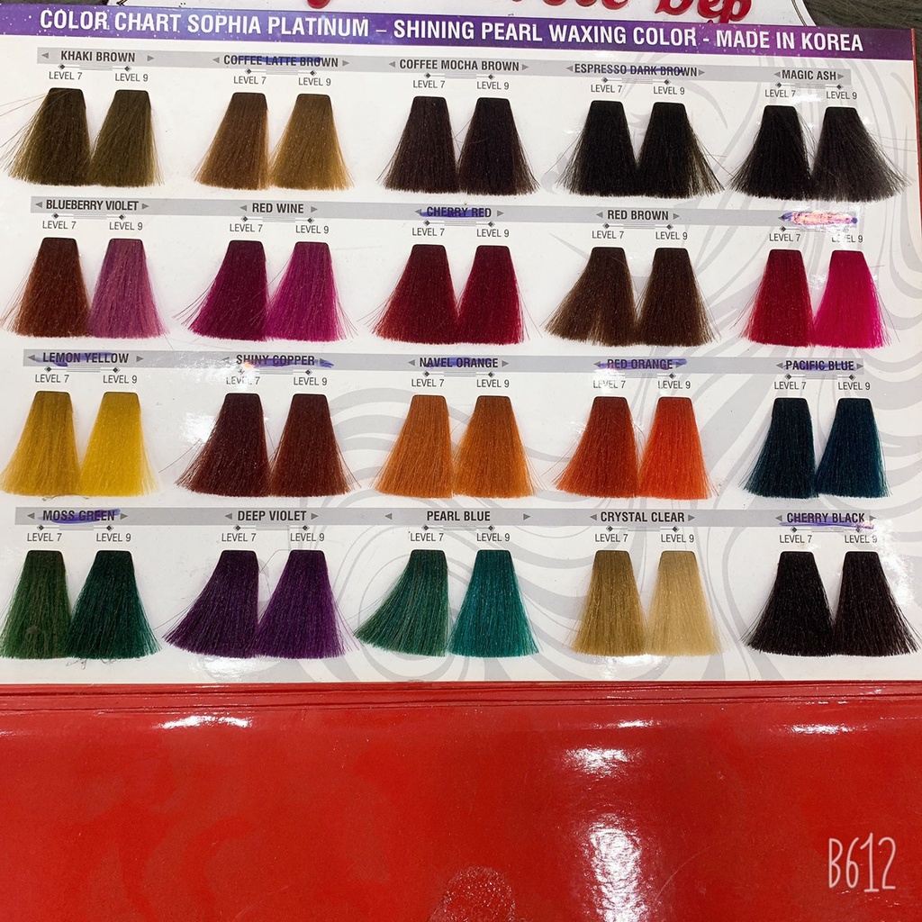 MÀU NHUỘM PHỦ MỊN  SOPHIA PLATINUM SHINING PEARL WAXING COLOUR 530ML