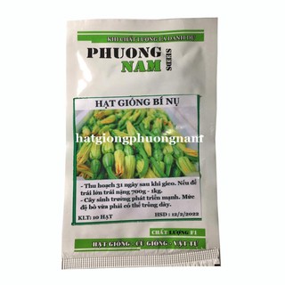 10 H - hạt giống bí nụ