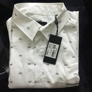 Áo sơ mi/polo Pierre Cardin size S/L