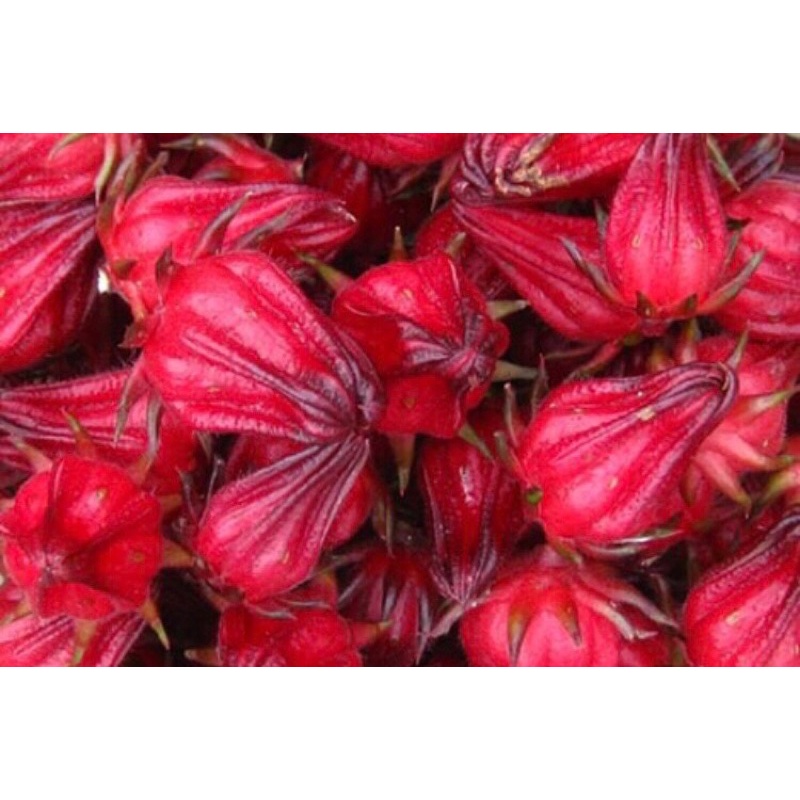 Hoa Bụp Giấm  khô túi 100g