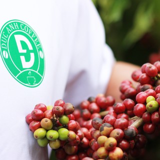 1kg cà phê tỉ lệ 8-2 rang mộc d coffee với 80% robusta + 20% arabica tùy - ảnh sản phẩm 5