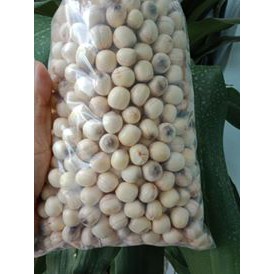 Hạt sen tươi chính gốc Hội An 1kg