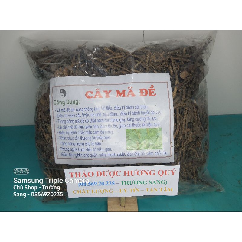 1Kg Cây Mã Đề Khô, Sạch, Mới, Loại 1