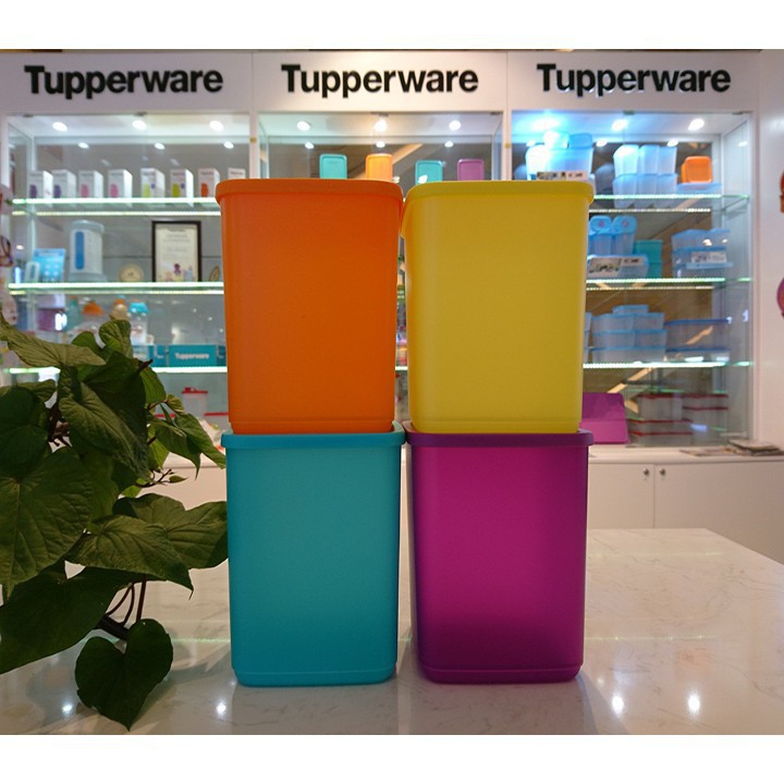 TUPPER - BỘ 4 HỘP BẢO QUẢN THƯC PHẨM TRỮ MÁT hoặc khô LARGE SUMMER FRESH