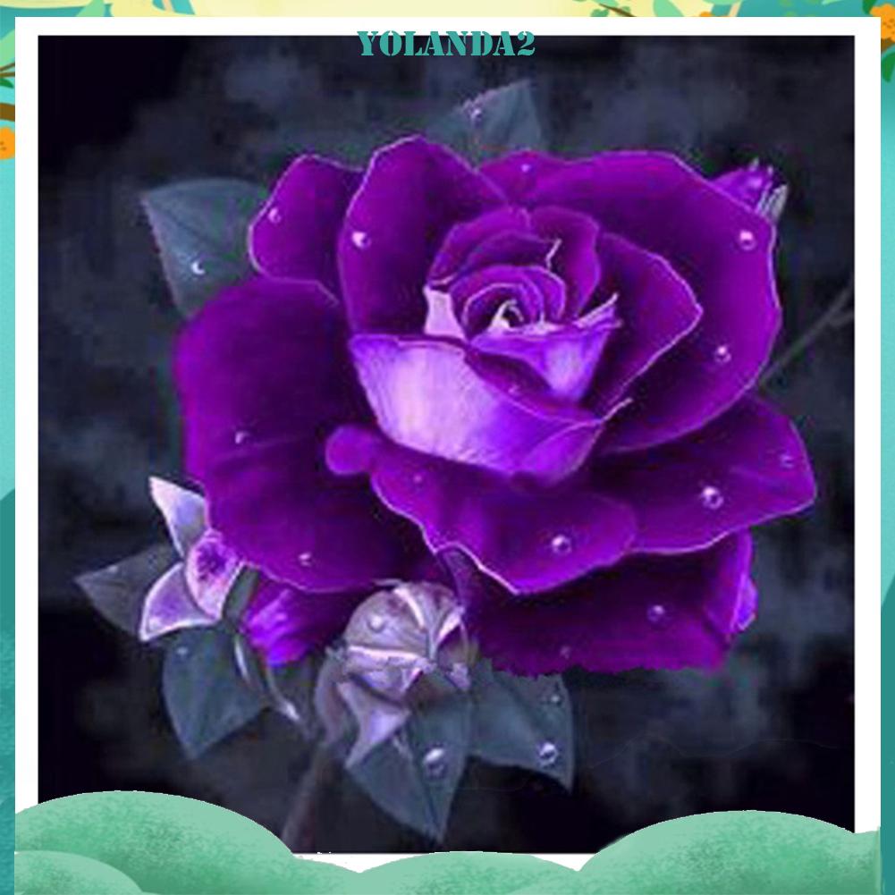 Bộ Tranh Đính Trang Trí Hình Hoa Hồng Tím 5d Diy