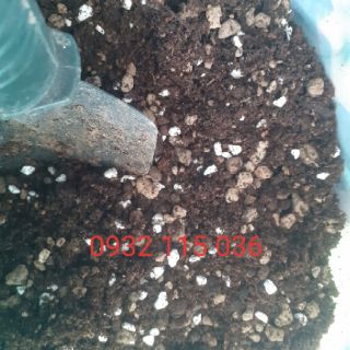Đất trồng sen đá 500gr