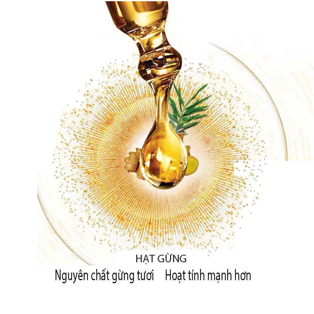 Dầu Gội Gừng WEILAIYA Ngăn Rụng Tóc , Kích Mọc Tóc [Chính - Hãng] | BigBuy360 - bigbuy360.vn