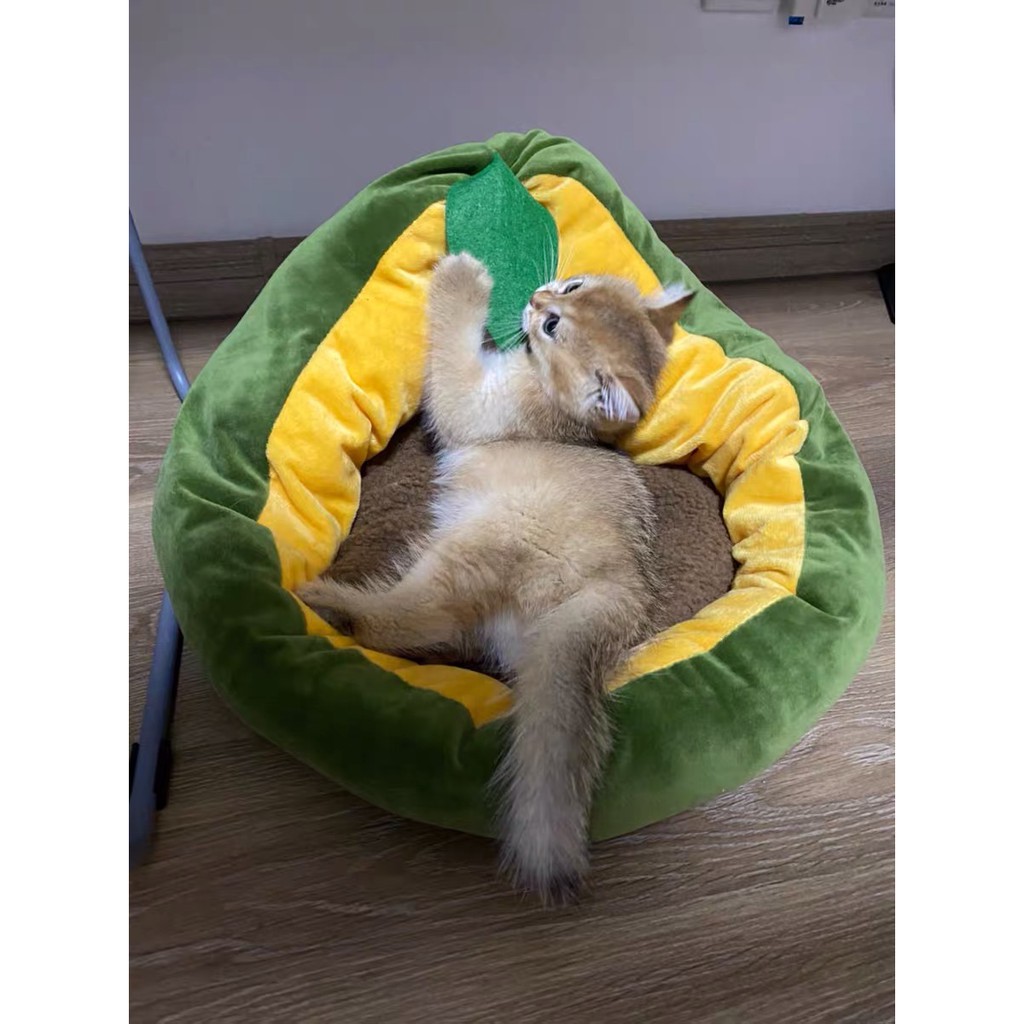 Tổ Thú Cưng Hình Quả Bơ - Pidan [CHÍNH HÃNG]