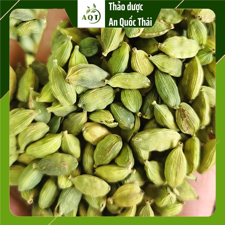 100g Thảo Quả Xanh/Bạch Đậu Khấu Xanh/ Green Cardamon Siêu Thơm, Gia Vị Nấu Ăn Hoàn Hảo [100% Nhập Khẩu Ấn Độ]