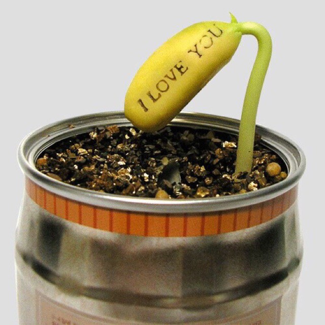 Đậu thần kỳ I LOVE YOU