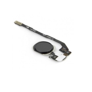 Dây đệm nút home + nút home Iphone 5S
