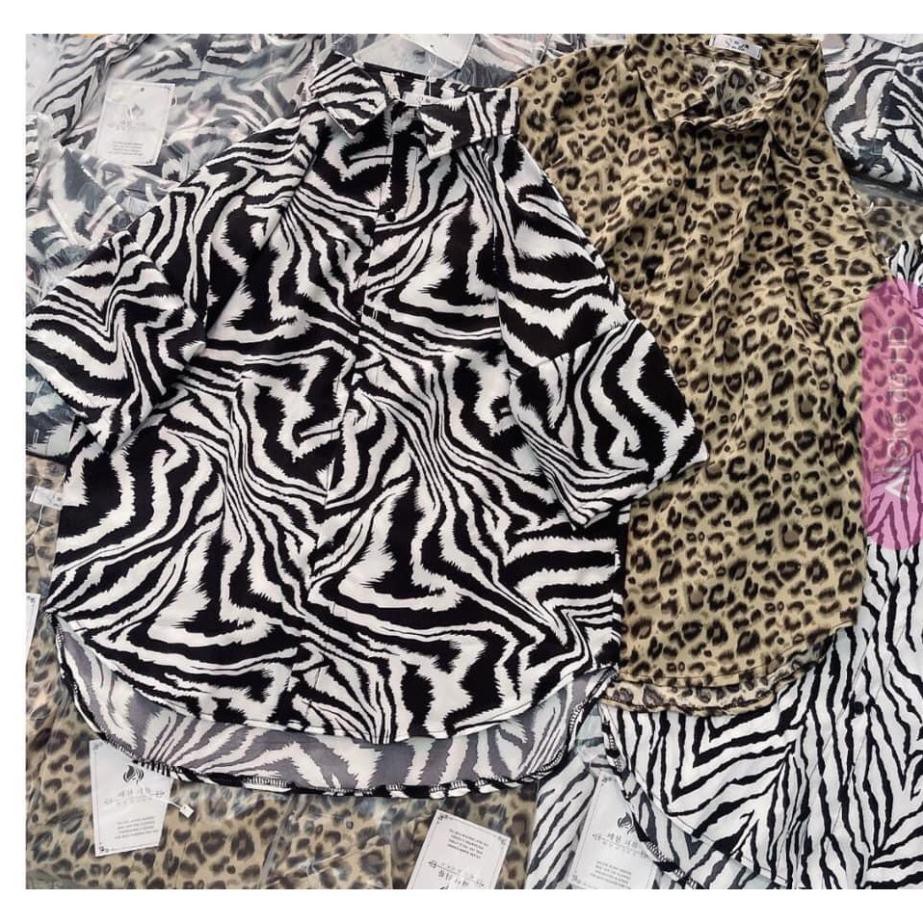 [ Hàng Đẹp Bán Shop ] Áo sơ mi báo , sơ mi ngựa vằn tay lỡ, Sơ mi nữ tay lỡ hàng quảng châu | BigBuy360 - bigbuy360.vn