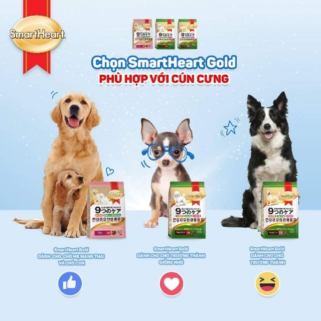 Thức ăn cho chó trưởng thành dòng smart gold cao cấp 1 kg