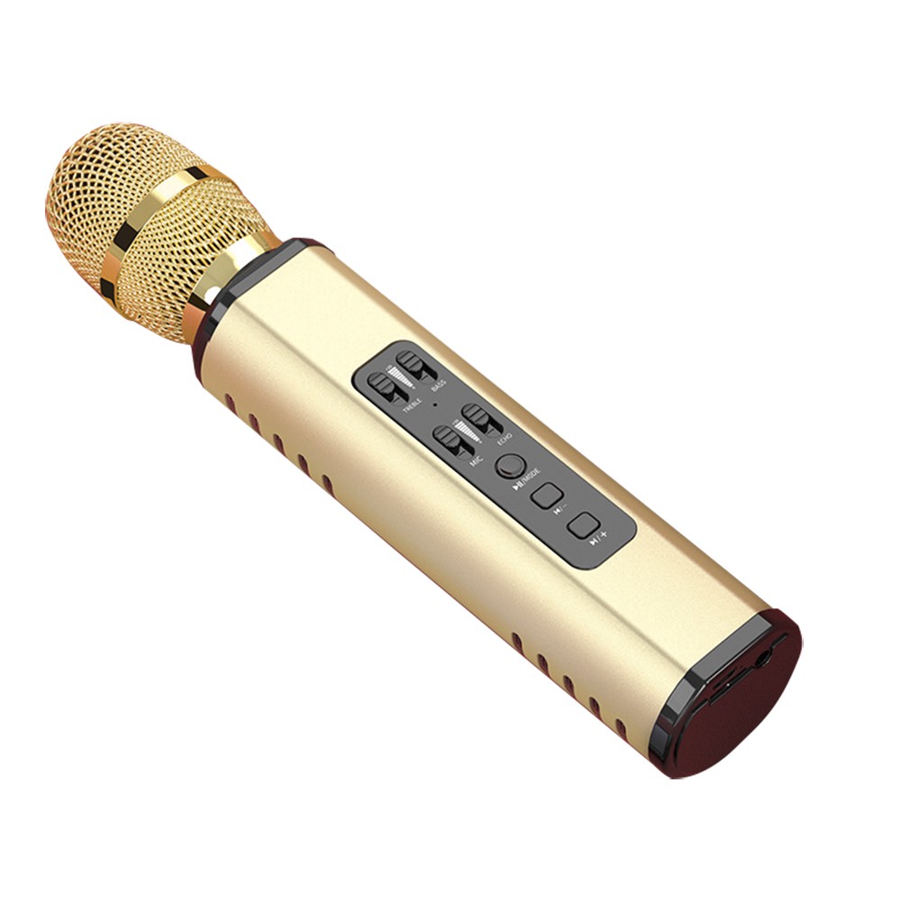 Micro kèm loa karaoke bluetooth Nhập khẩu cao Cấp PKCB204 có khe cắm thẻ Nhớ 3 trong 1