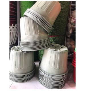 Combo 50 chậu nhựa trồng cây 20*14