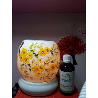 TINH DẦU SẢ CHANH VIỆN HÀN LÂM 100ML