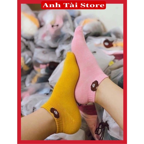 Tất gấu nữ vớ cổ thấp combo 10 đôi tặng túi gói AT 776